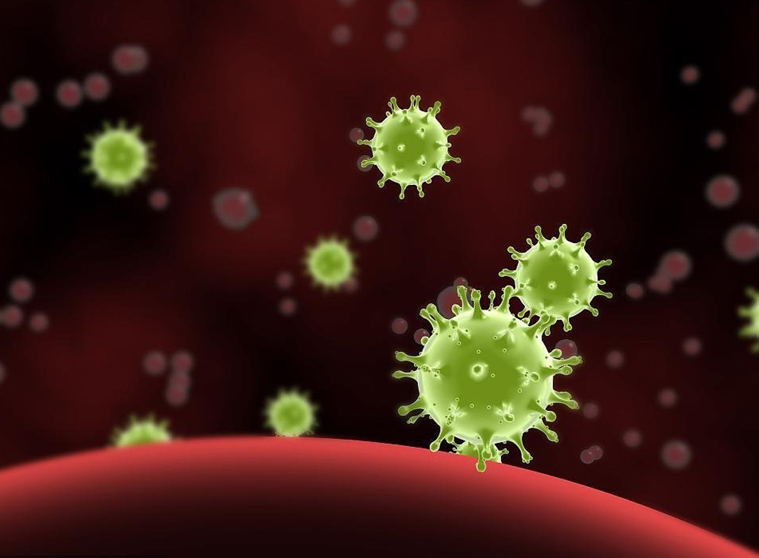 Update: The Coronavirus Outbreak and the Global Supply Chain